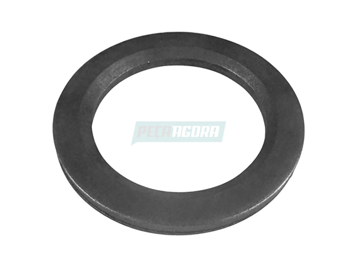 ARRUELA (TJG311817A.)