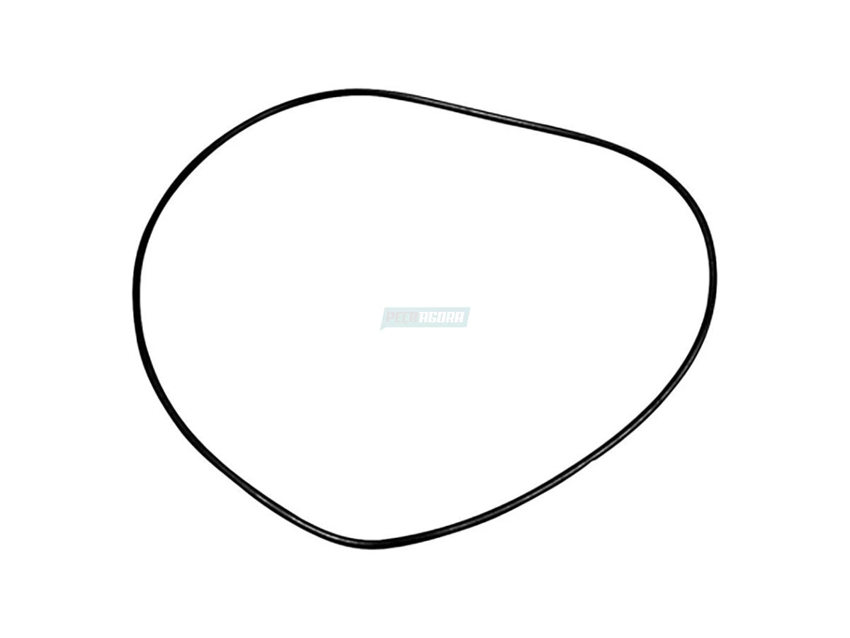 ANEL EIXO TRASEIRO (0259975948)