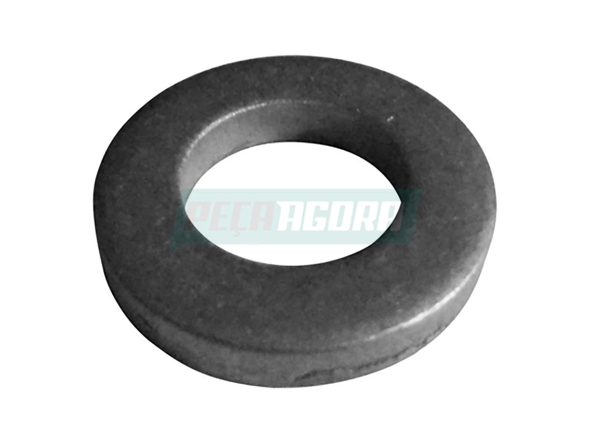 ARRUELA ACO (TJG312107)