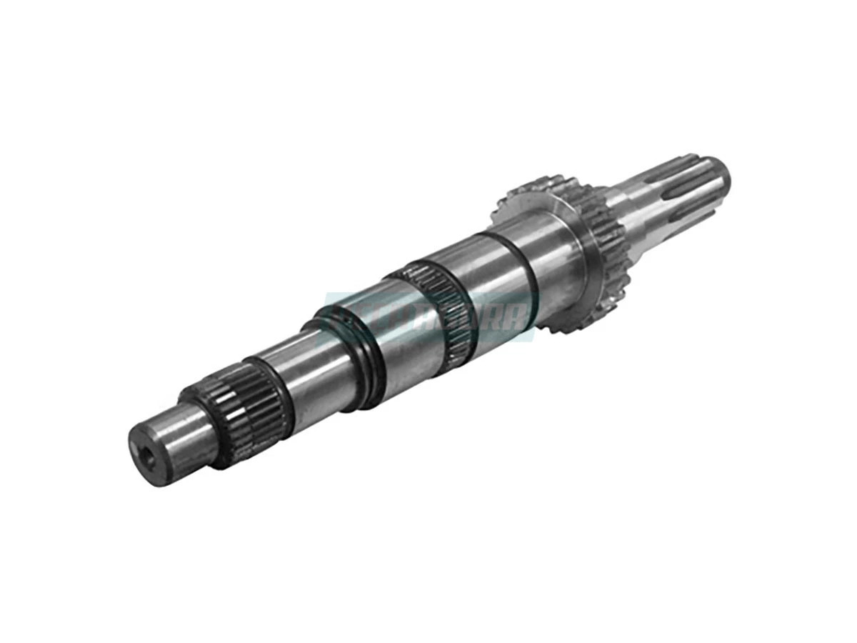 EIXO PRINCIPAL (T12311461.)