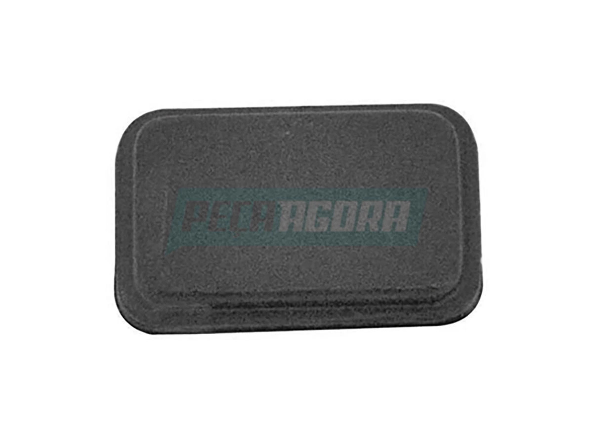 LENTE CEGA DO PAINEL T-R 113 (307534.)