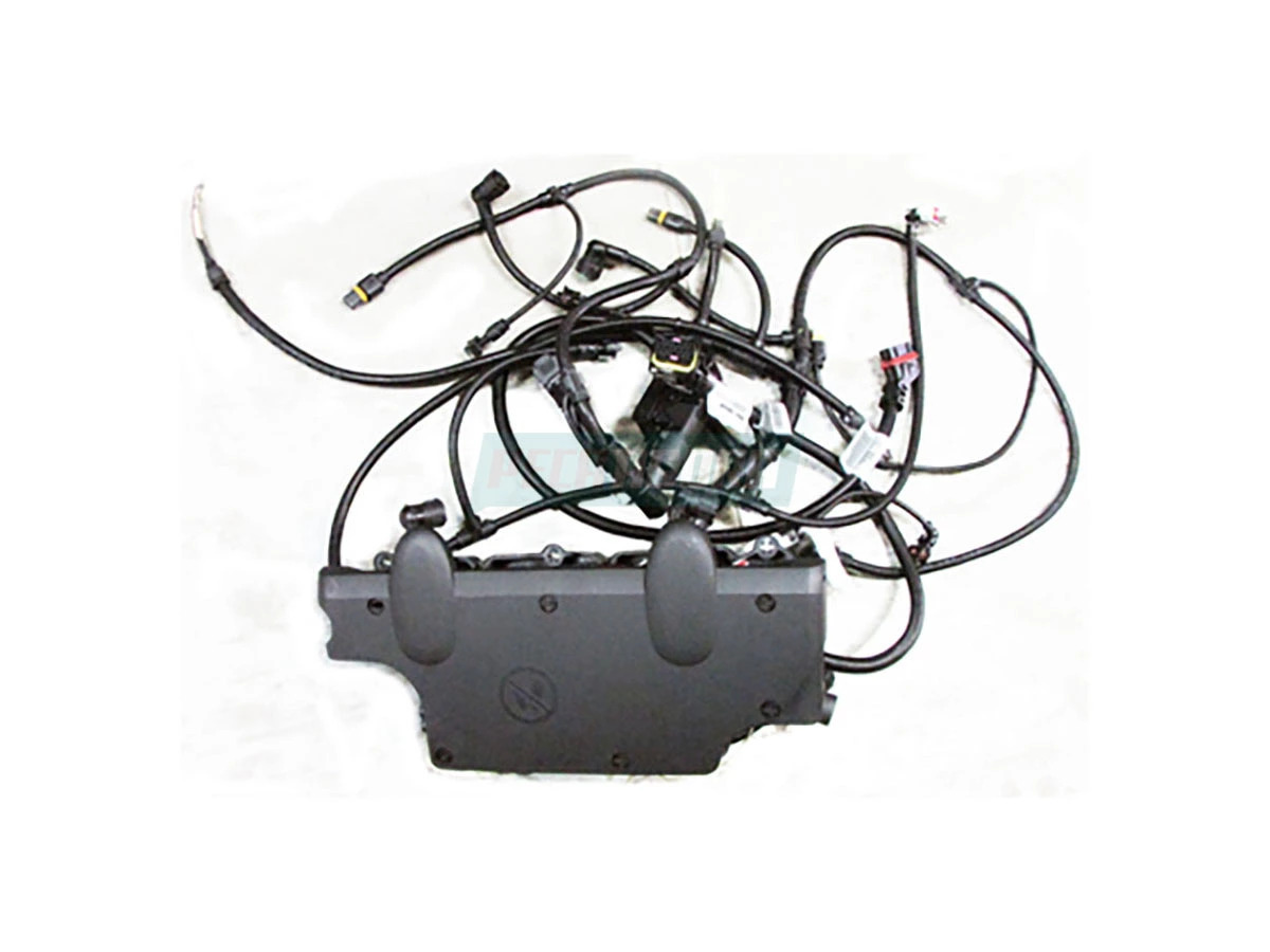 CHICOTE (07W971047N.)