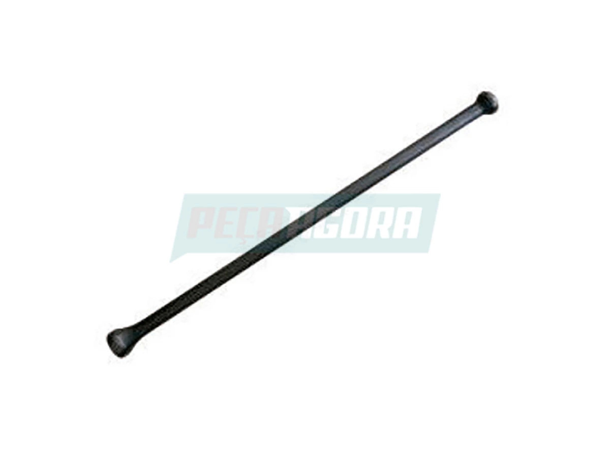 VARETA VALVULA MOTOR  ADMISSAO ESCAPE (9060540305)