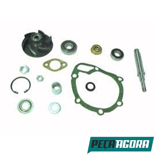 REPARO BOMBA DAGUA SEM ROLAMENTO PARA SCANIA 111 (550044)