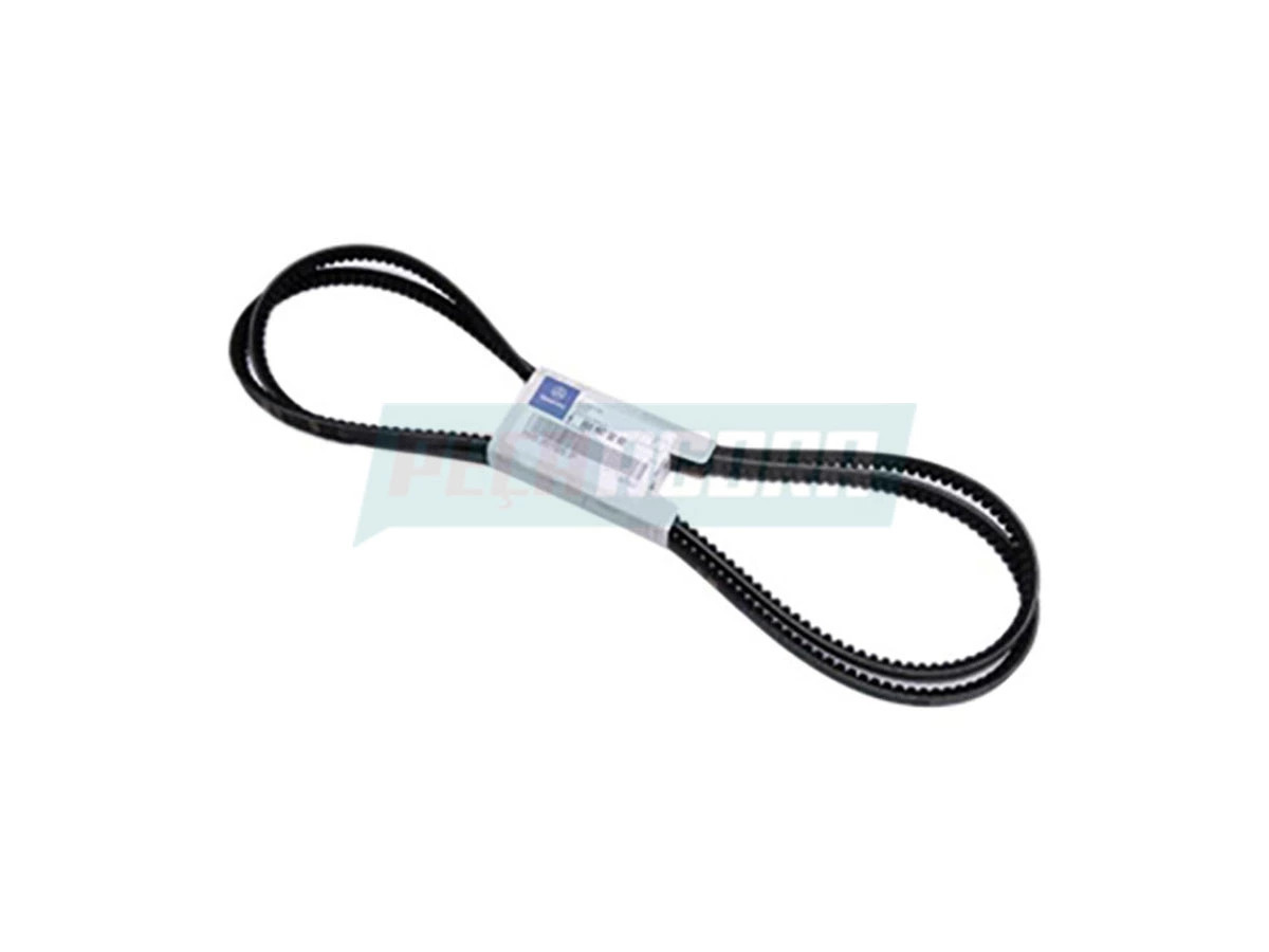 CORREIA V (0039970292_)