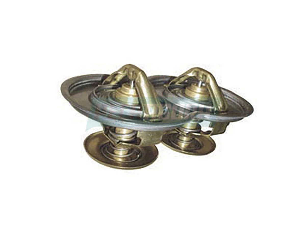 VALVULA TERMOSTATICA REFIL (1347594)