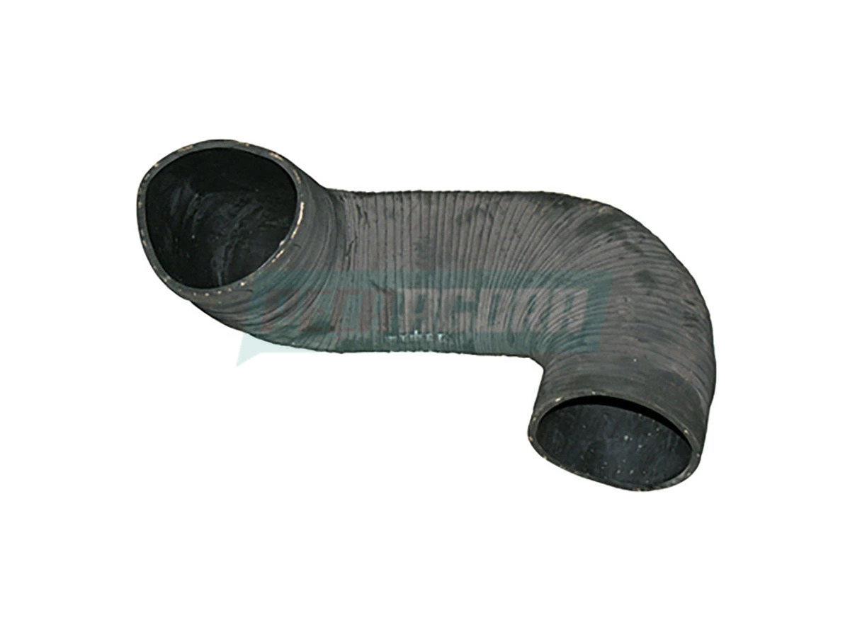 MANGUEIRA (6008001769006.)