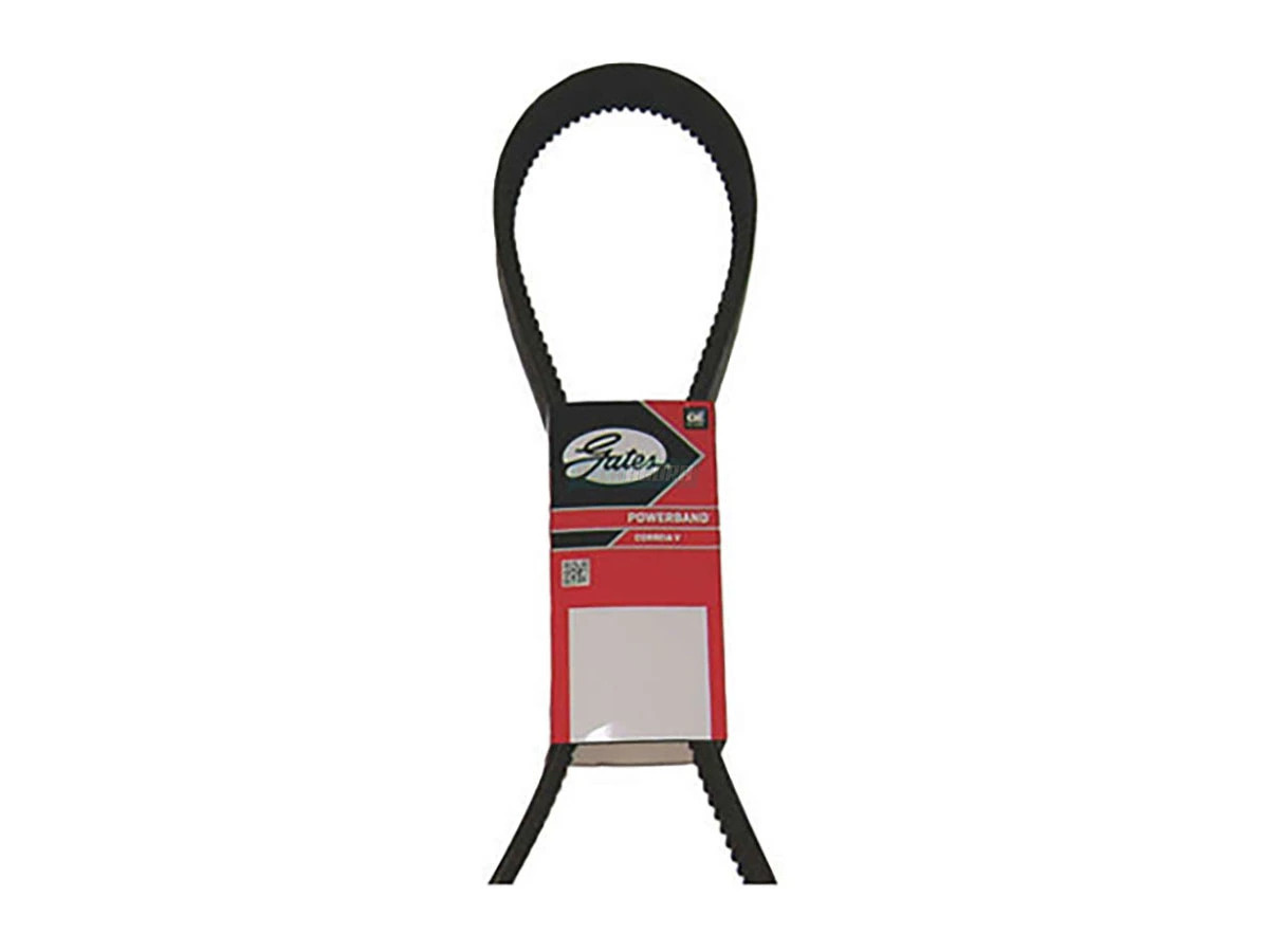 CORREIA V (0039975992)