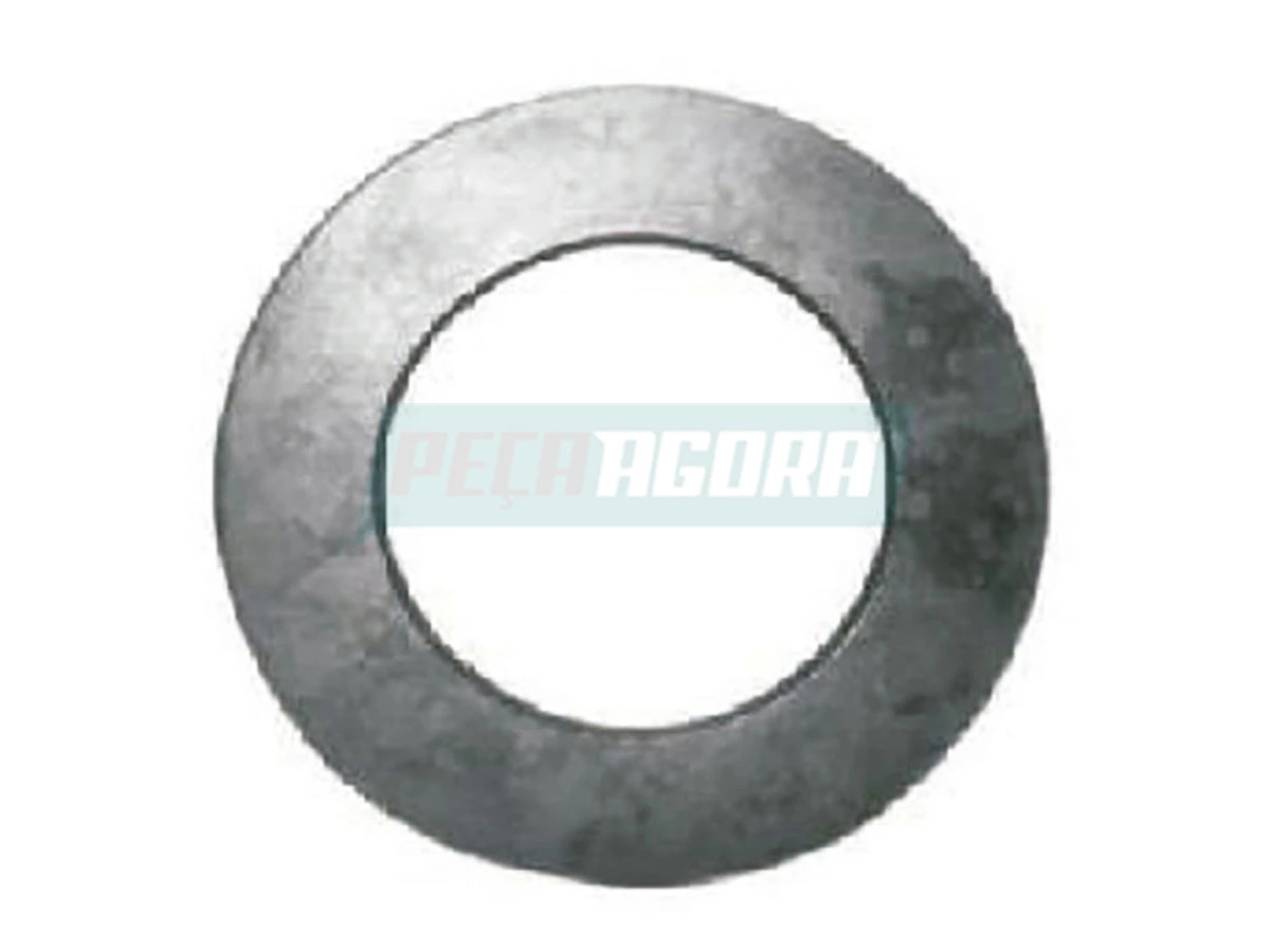 ARRUELA PORCA FLANGE PINHAO DANA 284 411 480 (TL7525855.)