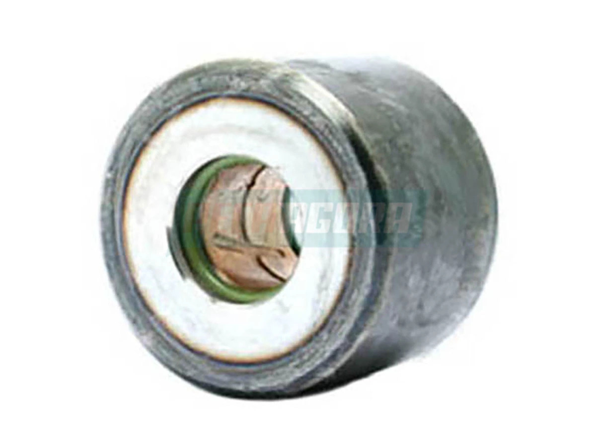 ROLETE PATIM FREIO COM BUCHA SEM ANEL (3014200039|)