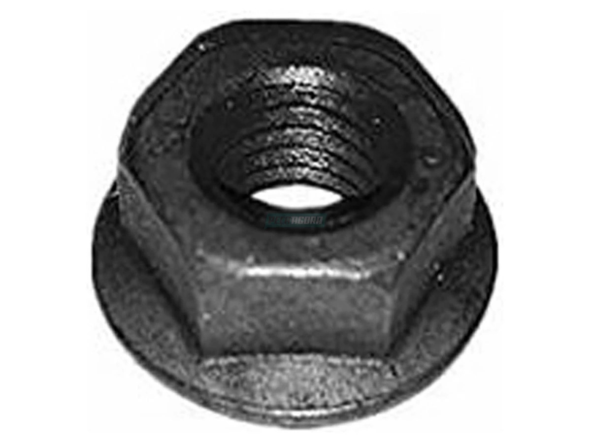 PORCA SEXTAVADA (TJG115279.)