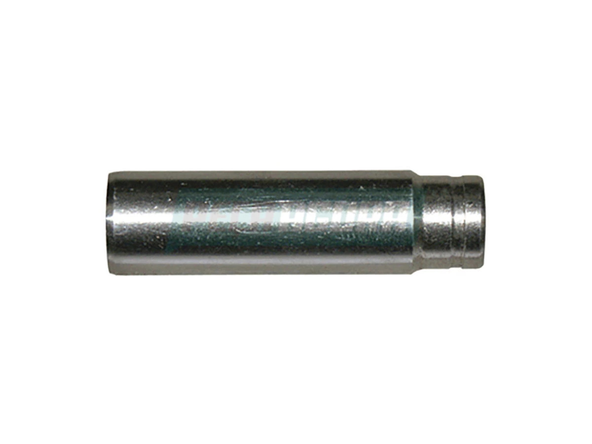 GUIA DE VALVULA 229 (2SL103419.)