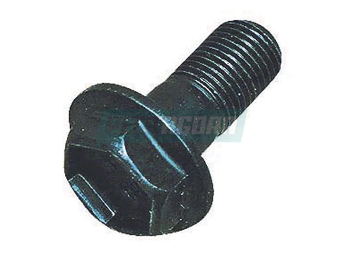 PARAFUSO FIXA COROA DANA 70 284 480 (T06525851A.)