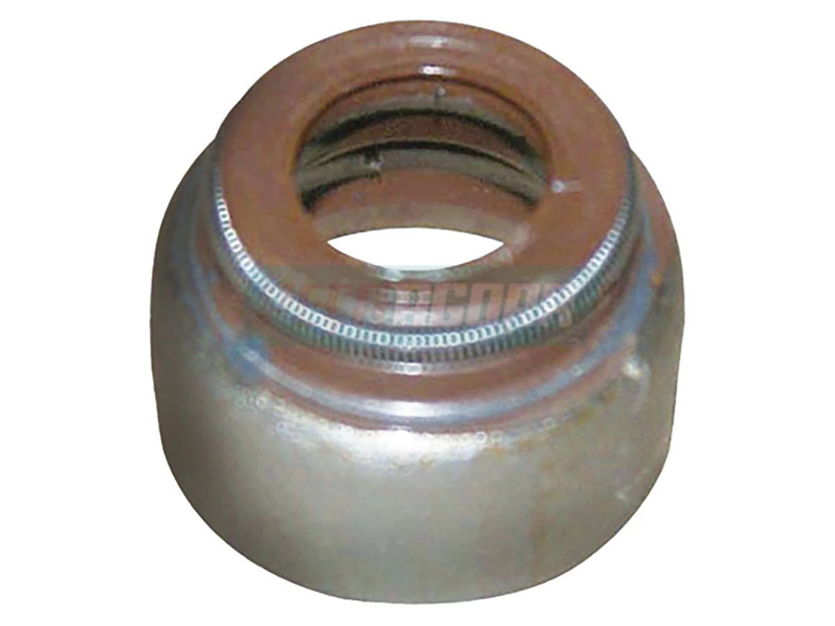 RETENTOR HASTE VALVULAS (2RH103417-M)