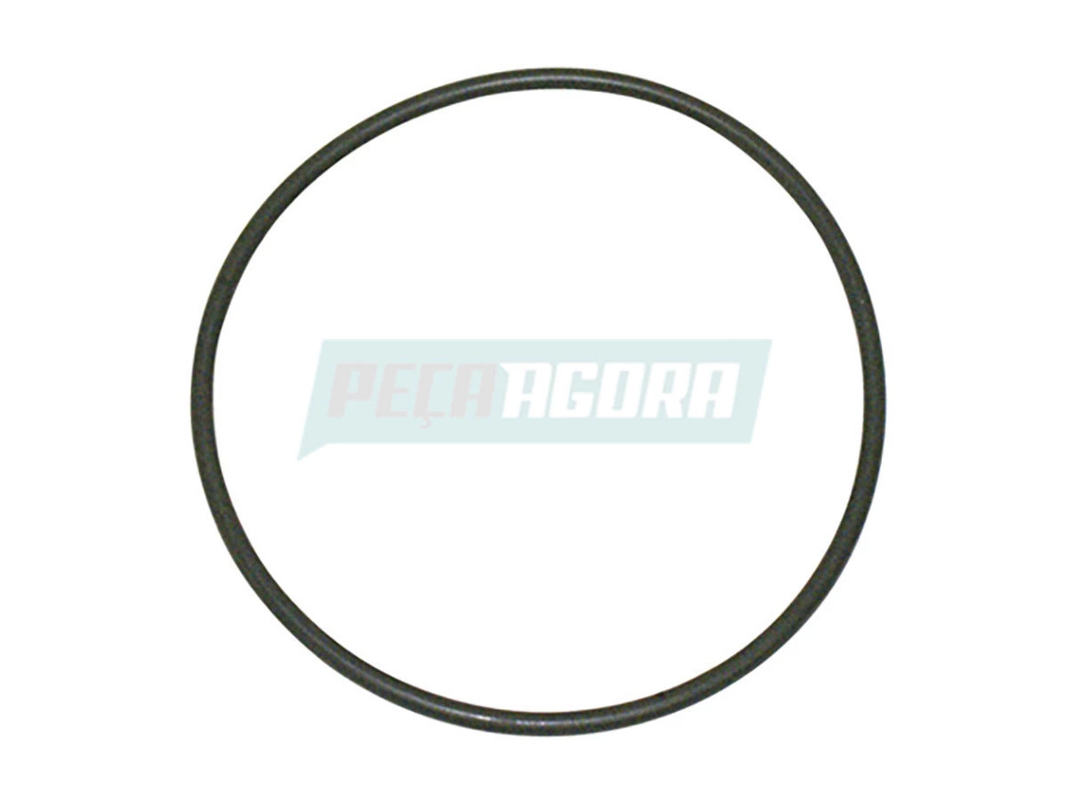 ANEL TAMPA CARCACA CAMBIO (2T0311091)