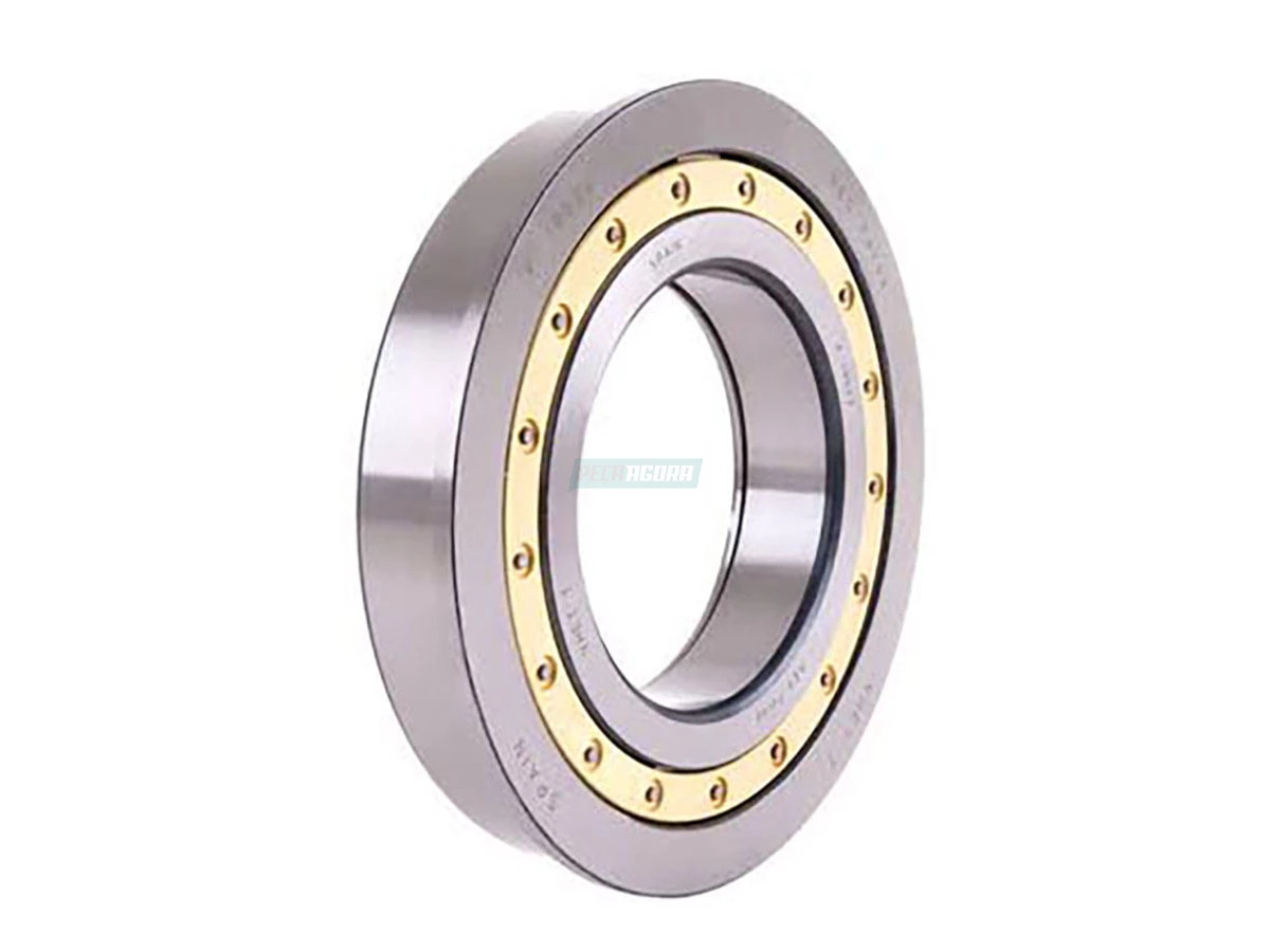 ROLAMENTO PILOTO (0079811801)