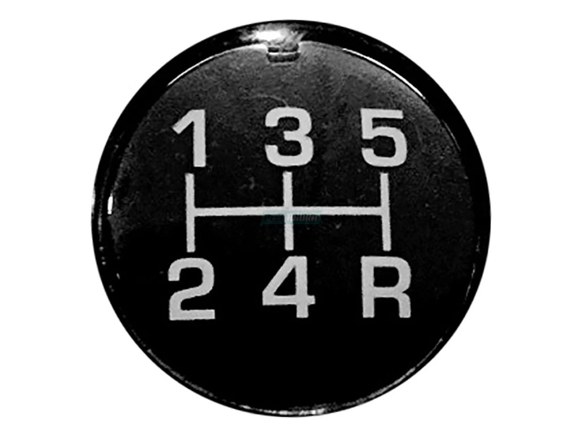 INSERTO INDICADOR MARCHA RE 5A (6007004049002.)