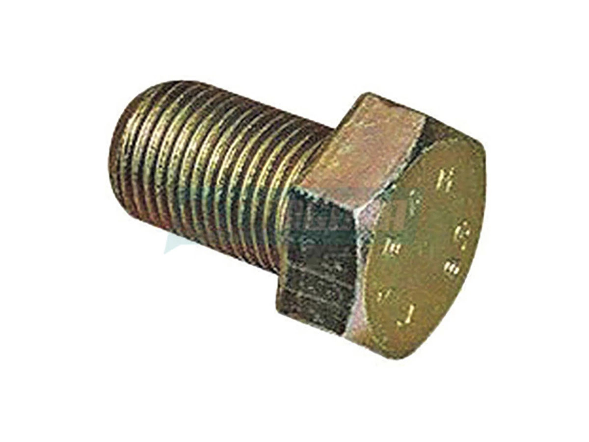 PARAFUSO M16X1,5X25 (2Z0599111C.)