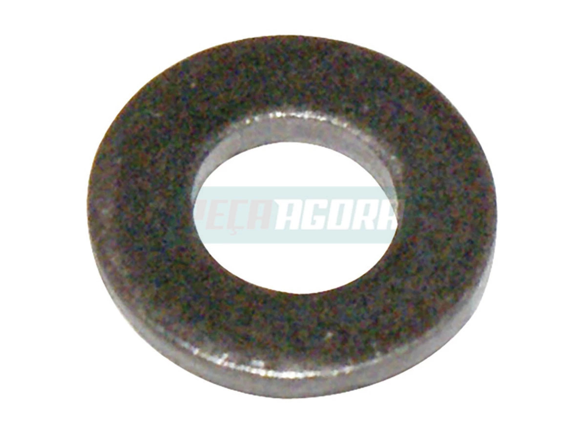 ARRUELA (TAE130219.)