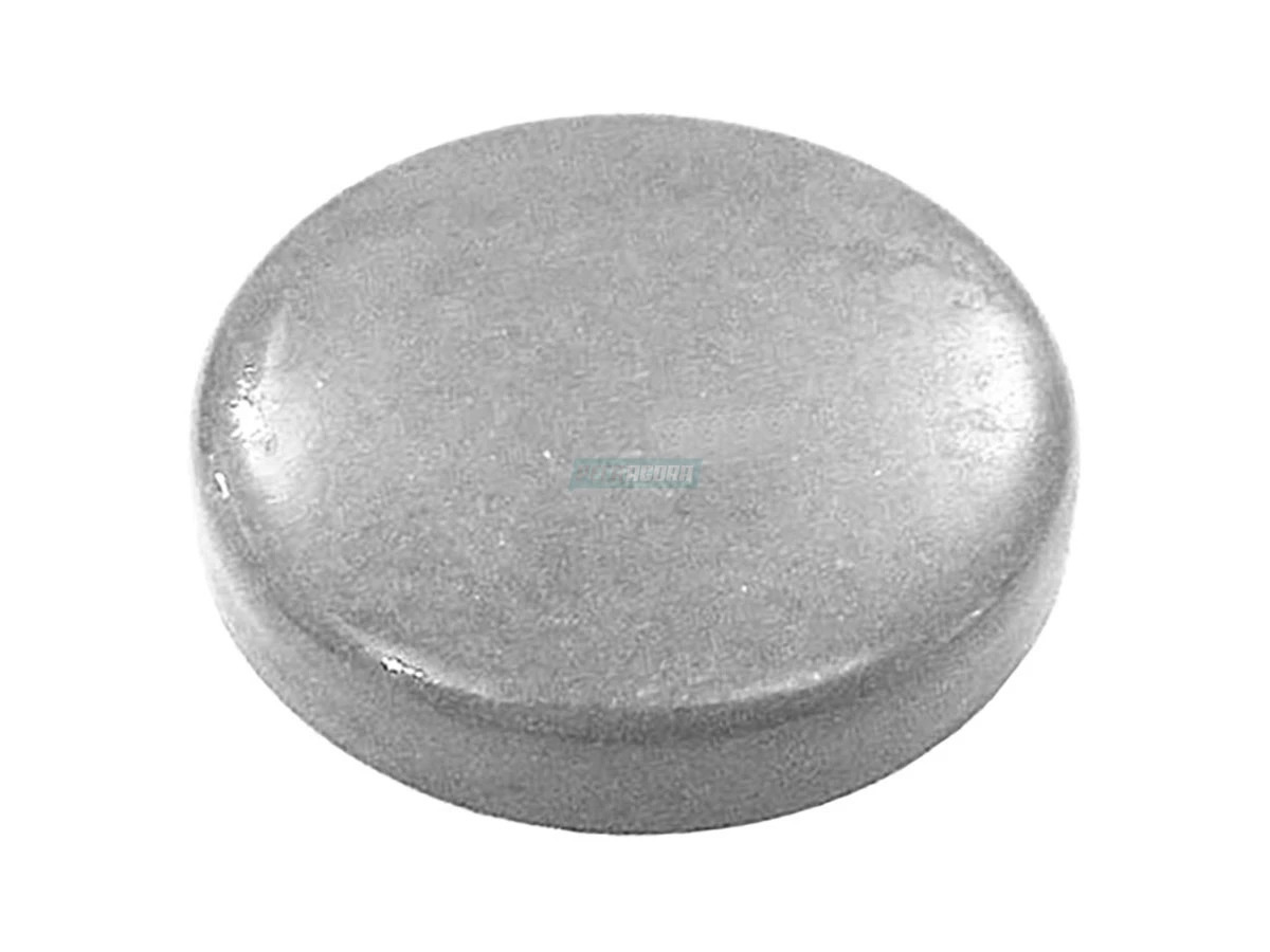 SELO EIXO COMANDO OM352 OM366 60,37X11MM (3529970020.)