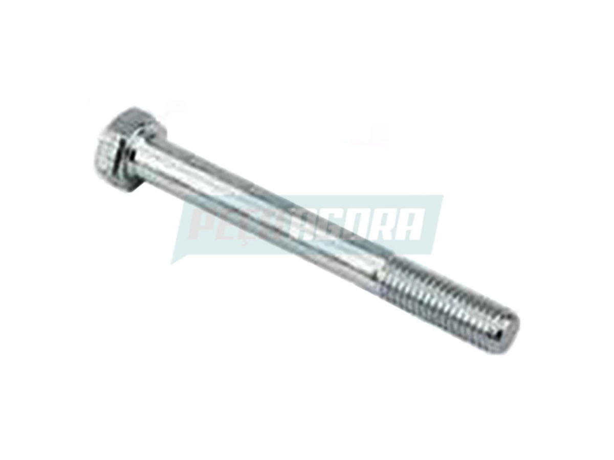 PARAFUSO EIXO BALANCIM ORIGINAL BR900 (0009905304.)