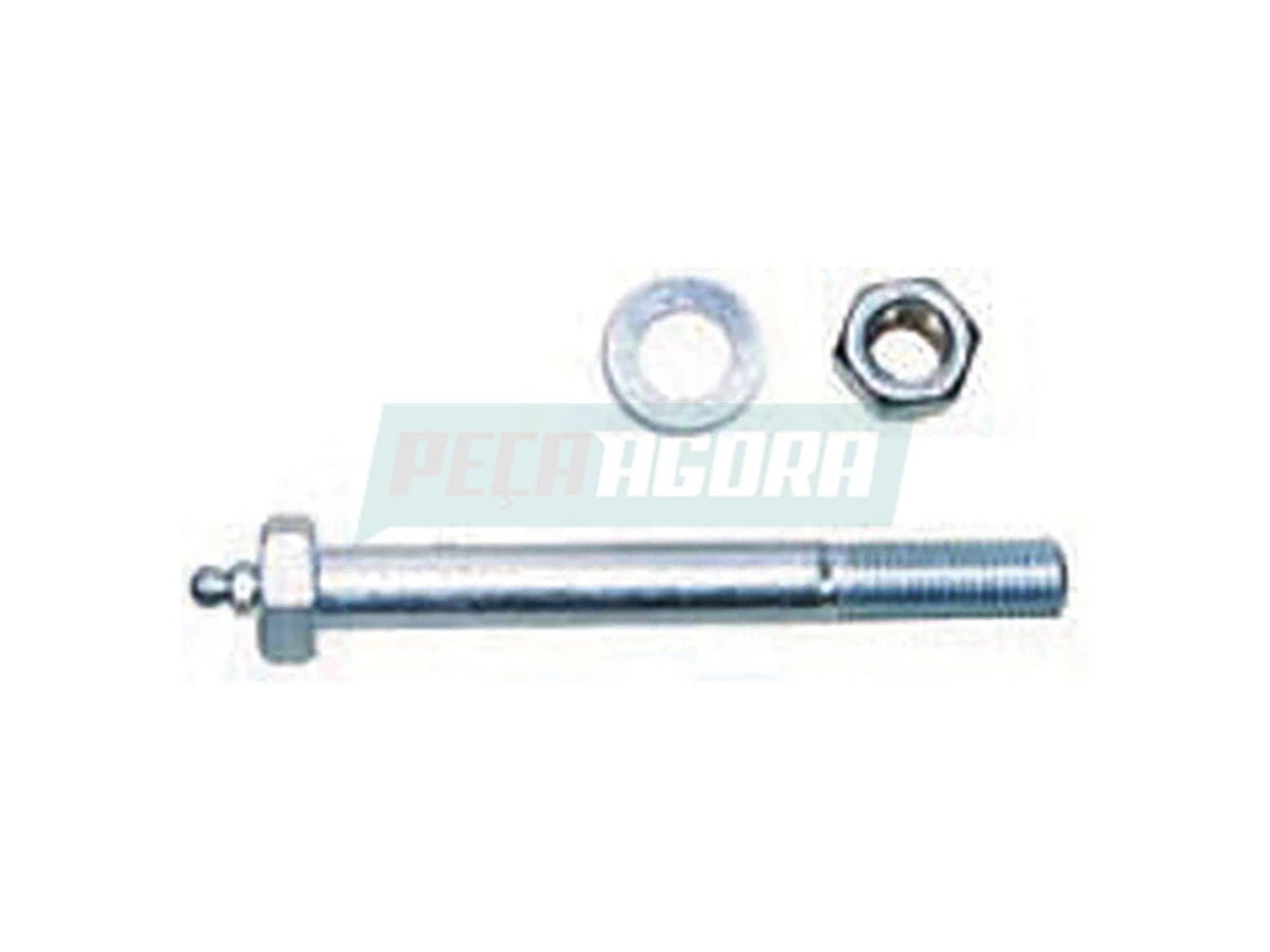 PARAFUSO DO COXIM (T2D899451.)