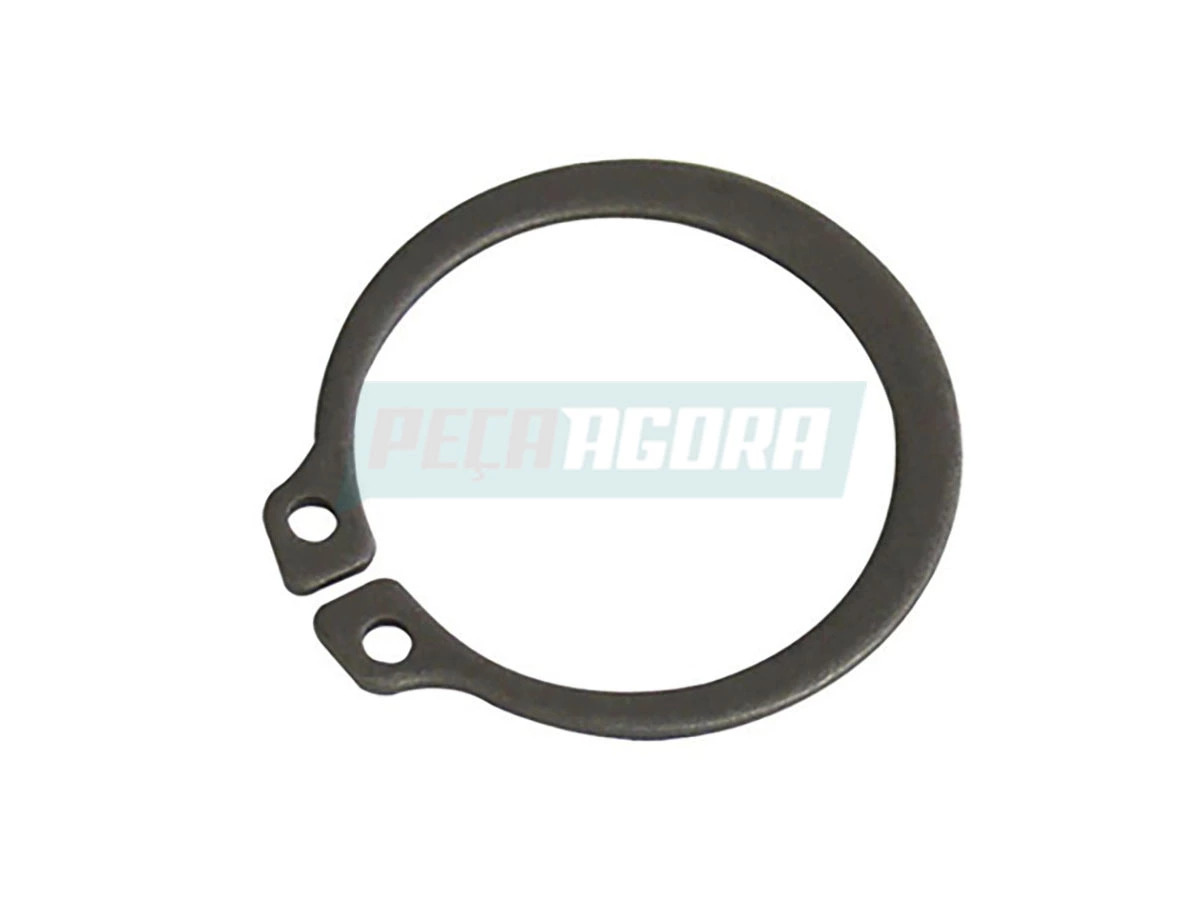 ANEL RETENTOR COLUNA DIRECAO ( CARGO ) (NFE661125A)