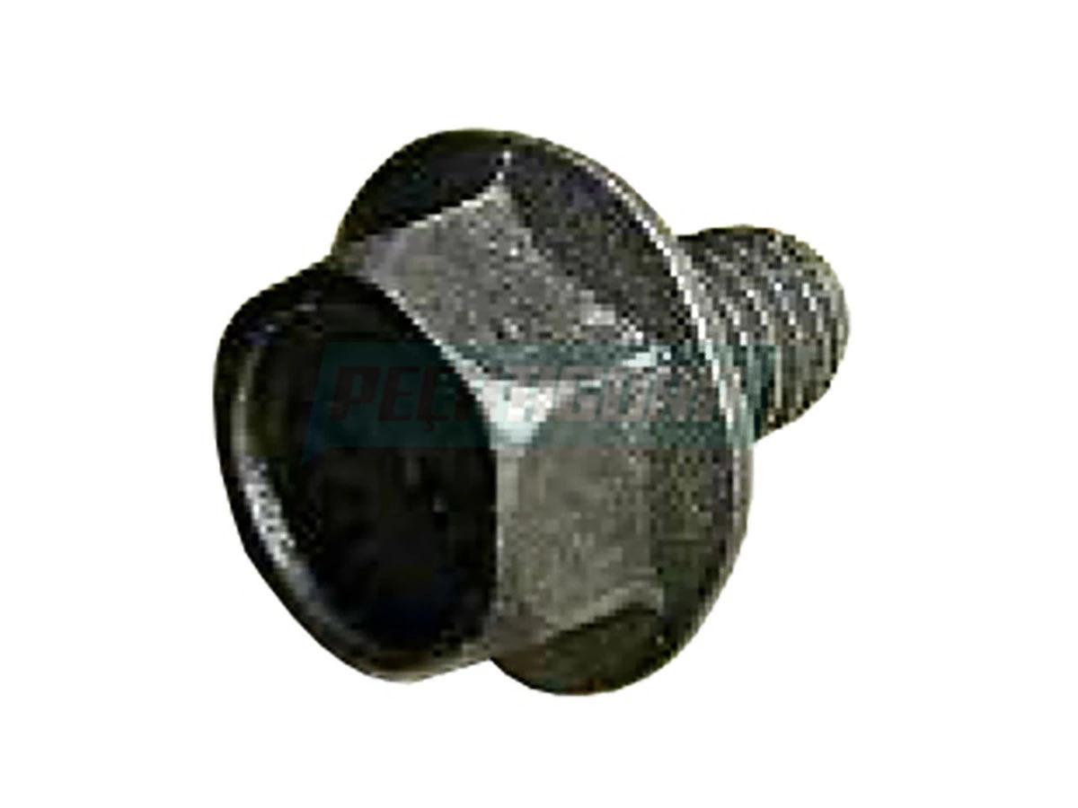 PARAFUSO FLANGEADO 6X10 14MM (TE3121819.)