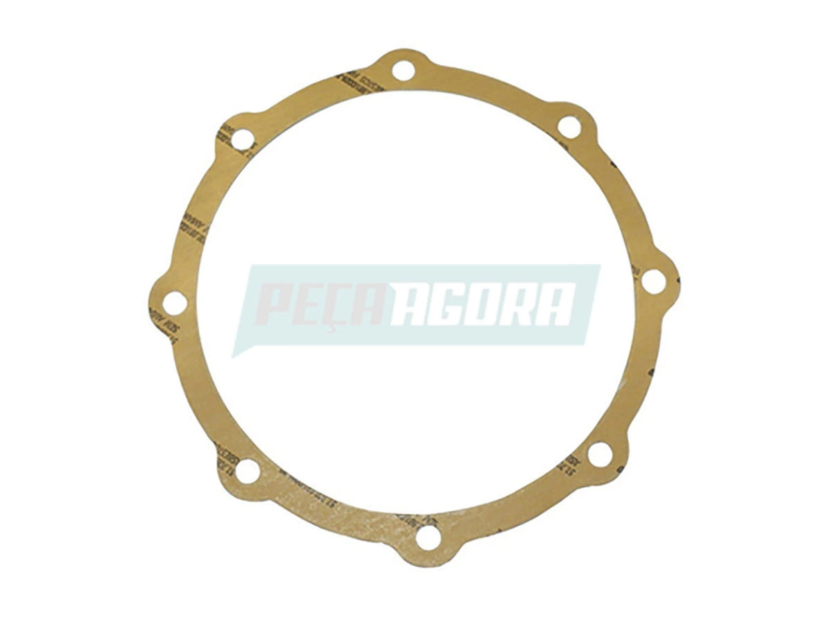 JUNTA SEMI EIXO ESPECIAL (3173560080,)