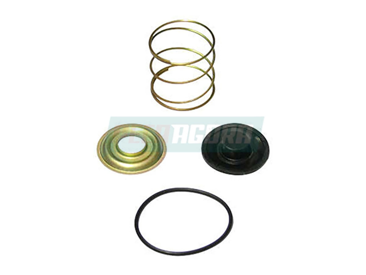 REPARO VALVULA DE DESCARGA RAPIDA ANTIGO CAMINHOES CAVALO MECANICO ONIBUS SEMIRR