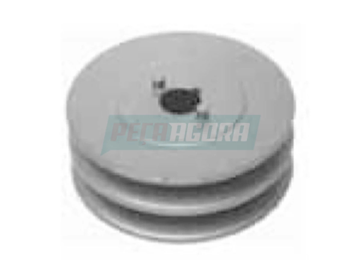 POLIA ALTERNADOR 2 CANAIS (9121080179)