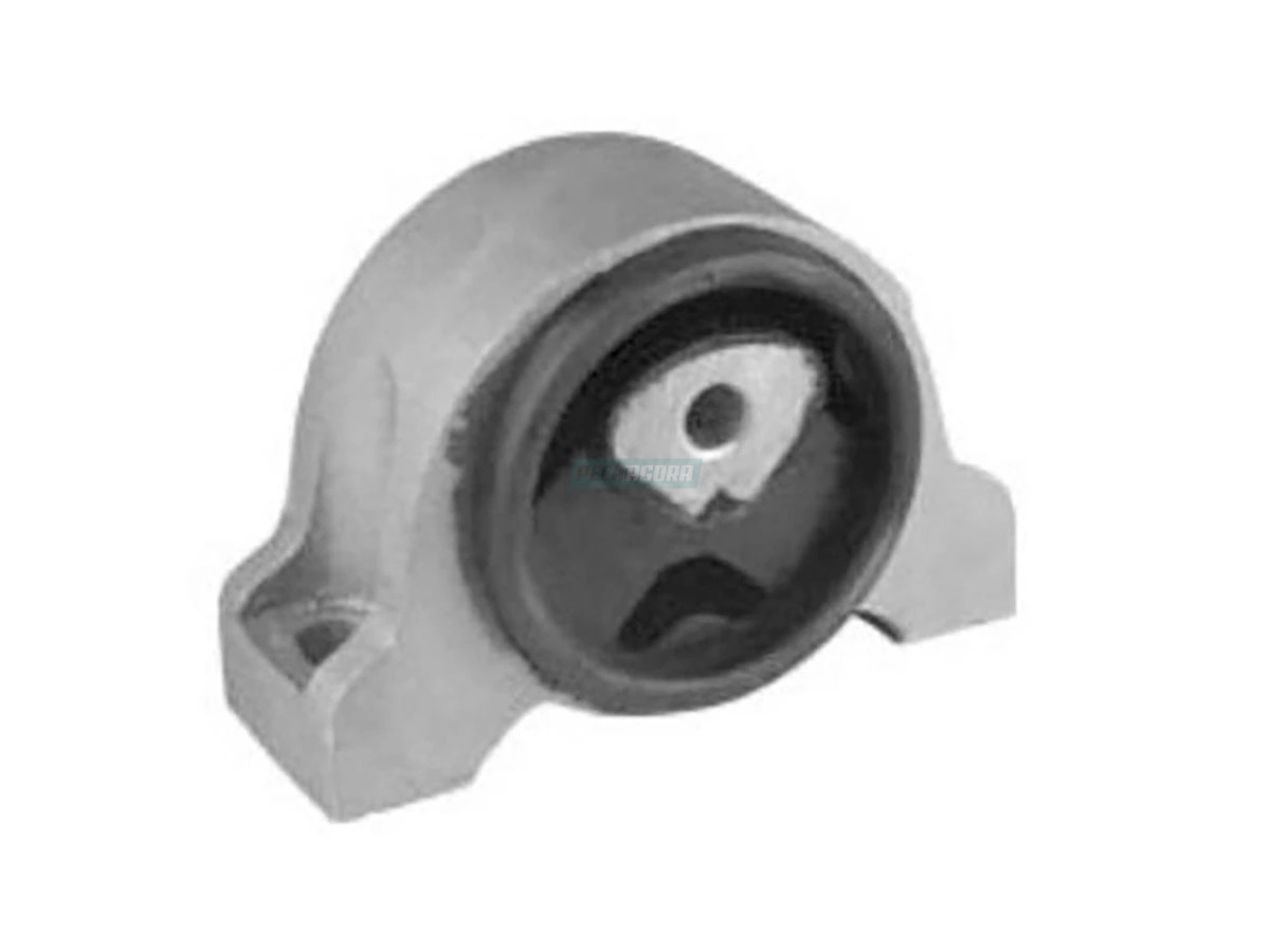 COXIM MOTOR DIANTEIRO LD / LE (1333573080.)