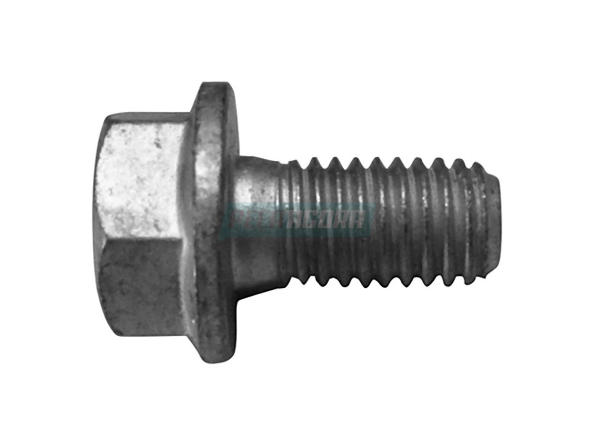 PARAFUSO EURO V CARTER (6020101095000)