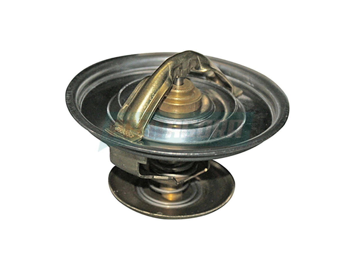 VALVULA TERMOSTATICA REFIL 79C (524942.)