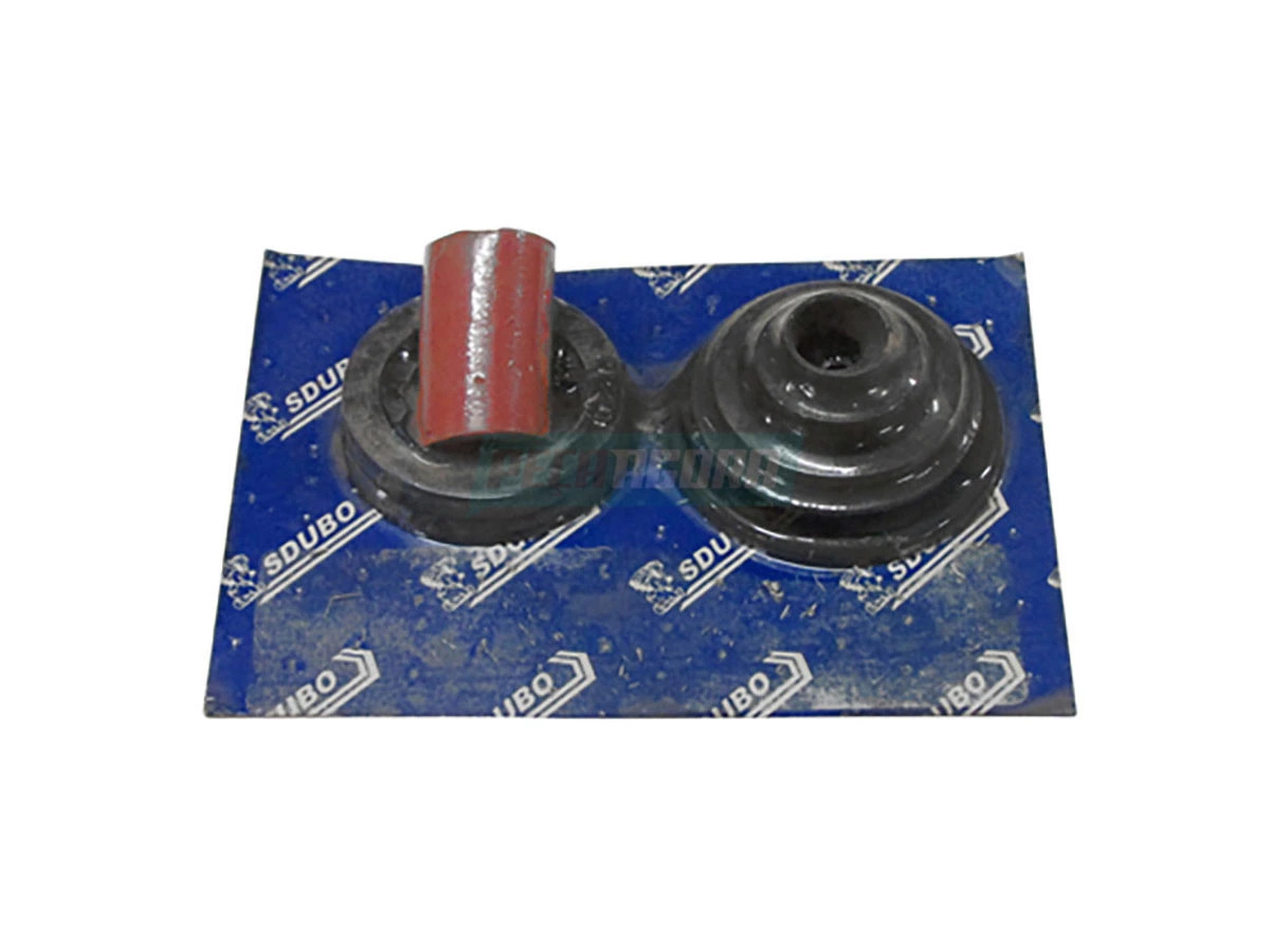 JOGO REPARO CILINDRO ACIONAMENTO FREIO MOTOR (TJG298031-9)