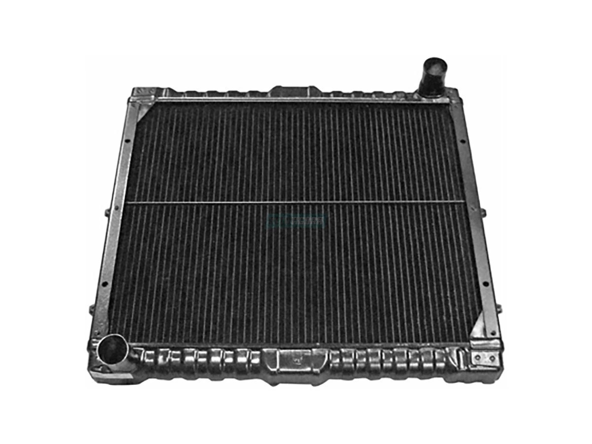 RADIADOR AGUA (6008001787008.)