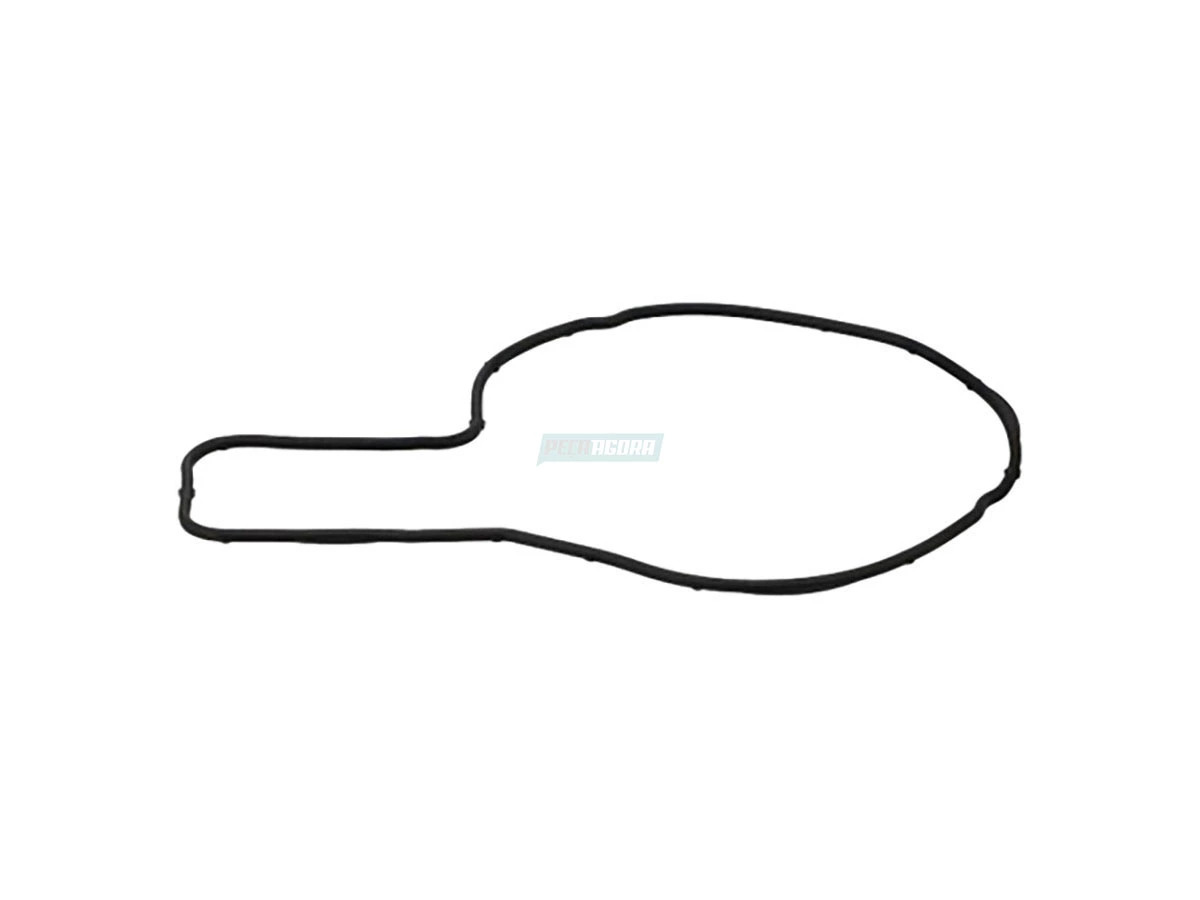 JUNTA BOMBA AGUA (8131097.)