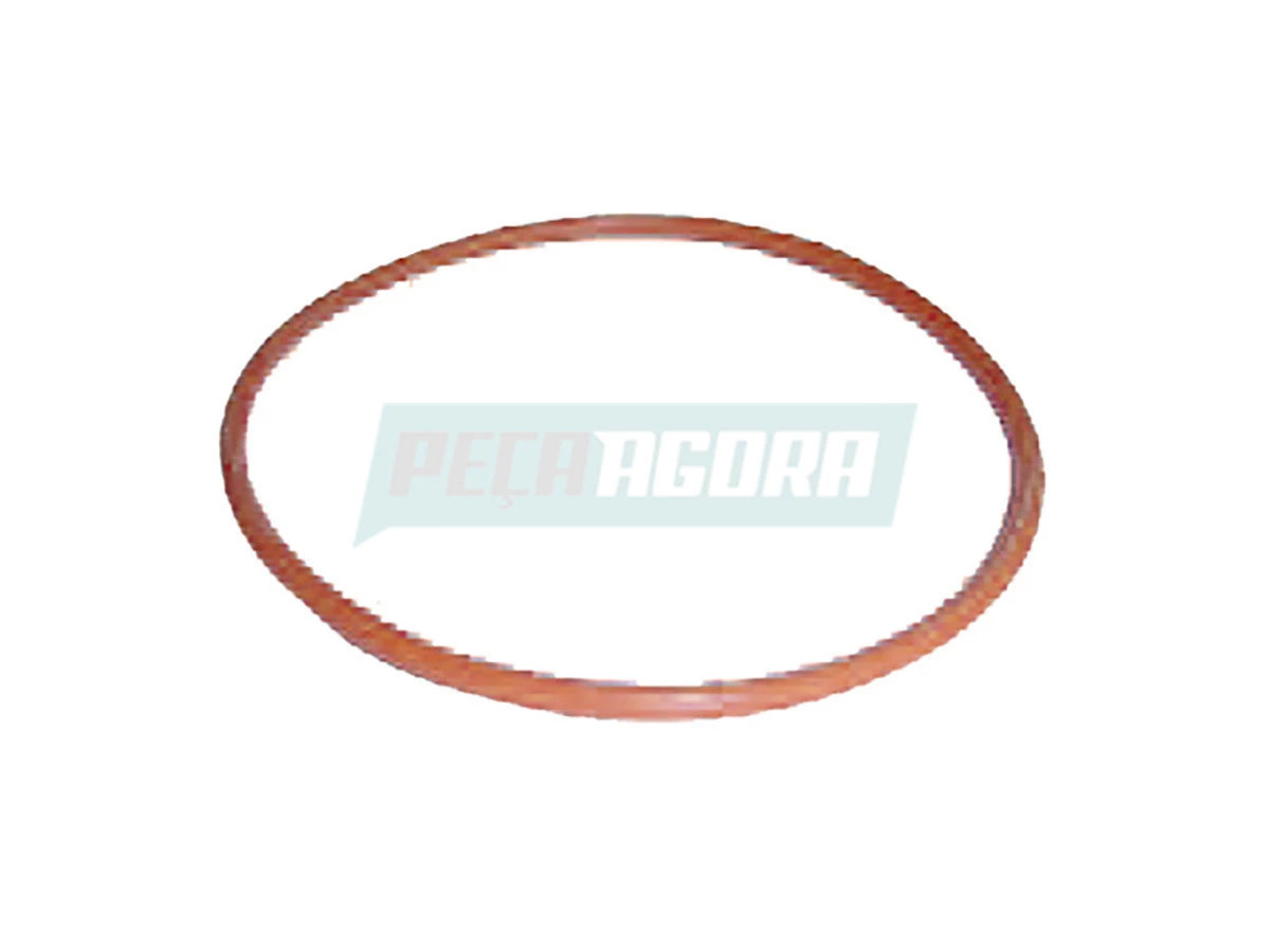 ANEL CAMISA MOTOR MWM X10 X12 MAXXFORCE VERMELHO (TAE107125|)