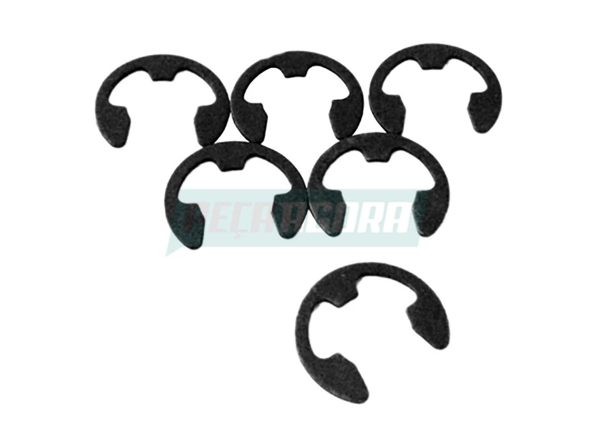 ANEL TRAVA (2Z0311706)