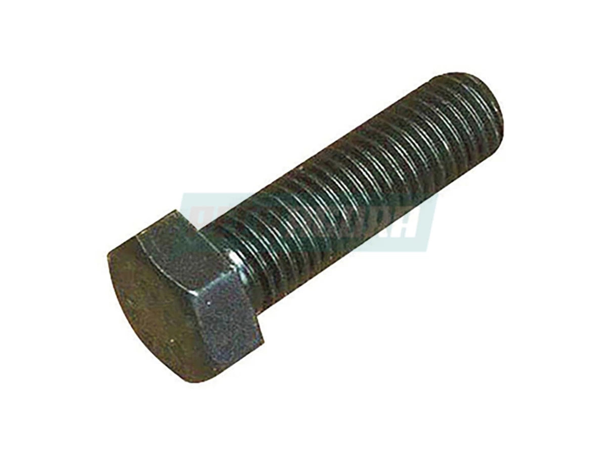 PARAFUSO M18X60X2,5 10.9 (2RR599219.)