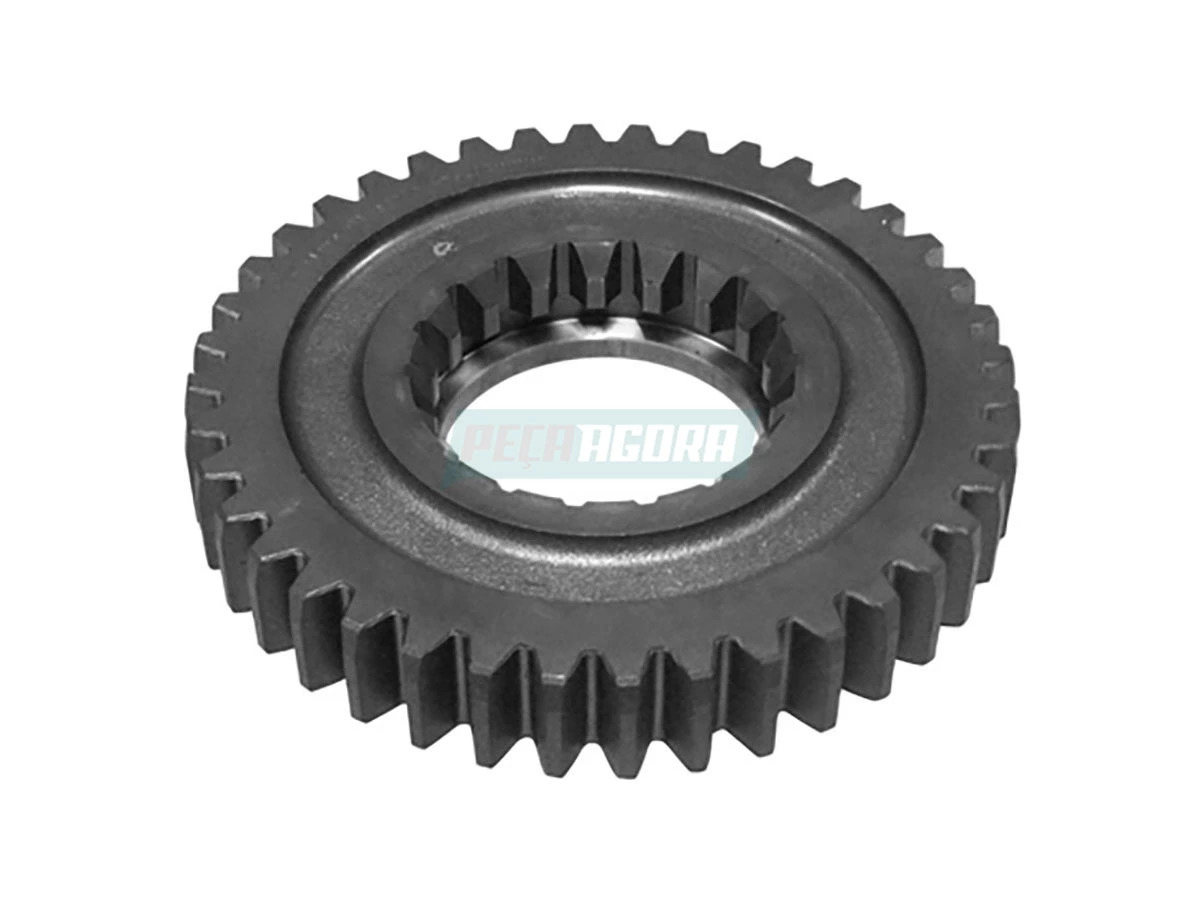 ENGRENAGEM (TJG311259A.)