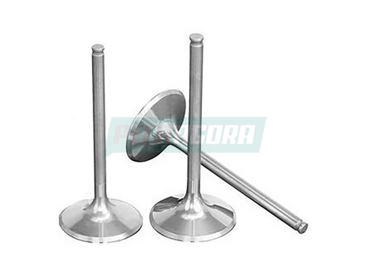 VALVULA ESCAPE MAN TGX (2V5109611)