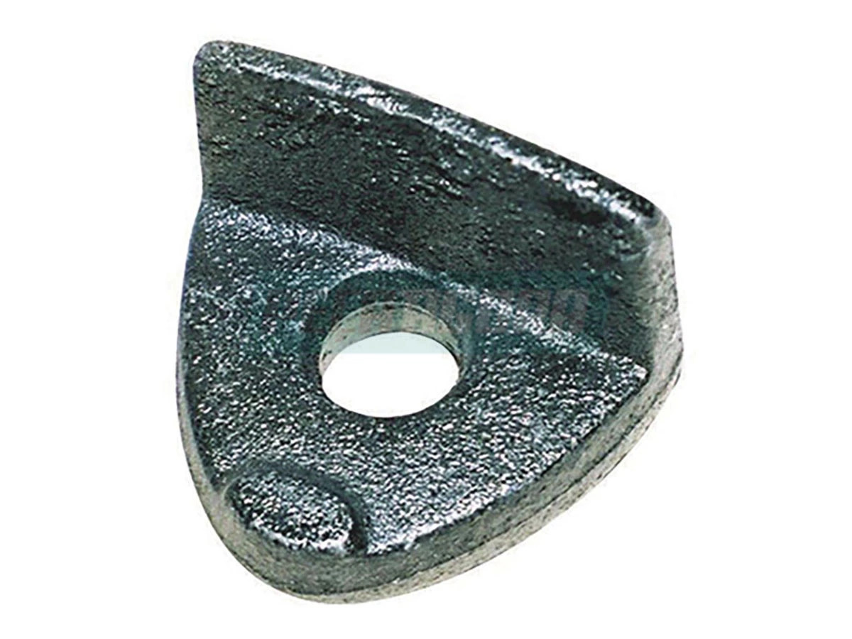 CASTANHA TRASEIRA (T13601137_)