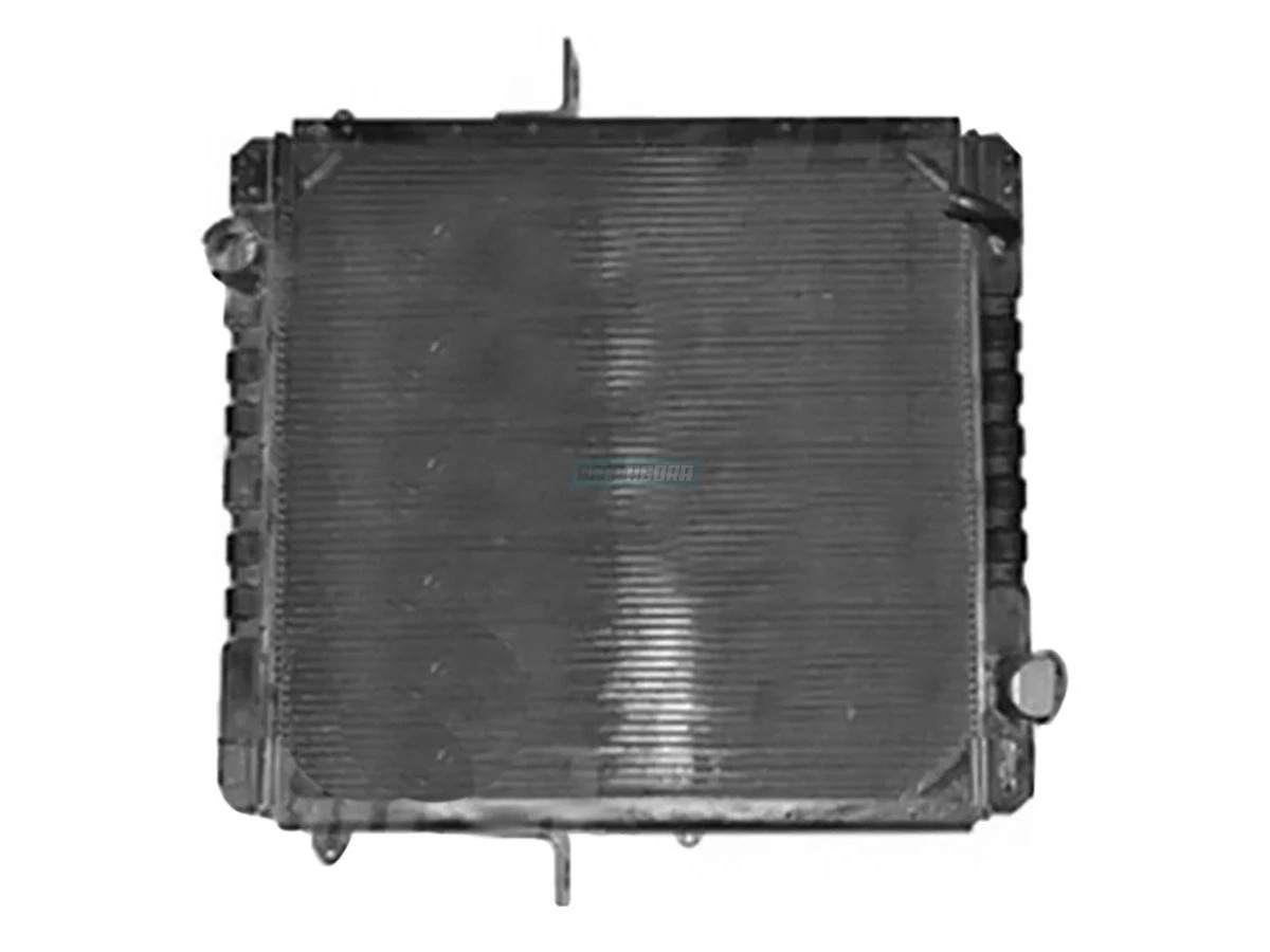 RADIADOR AGUA (2RP121253B.)