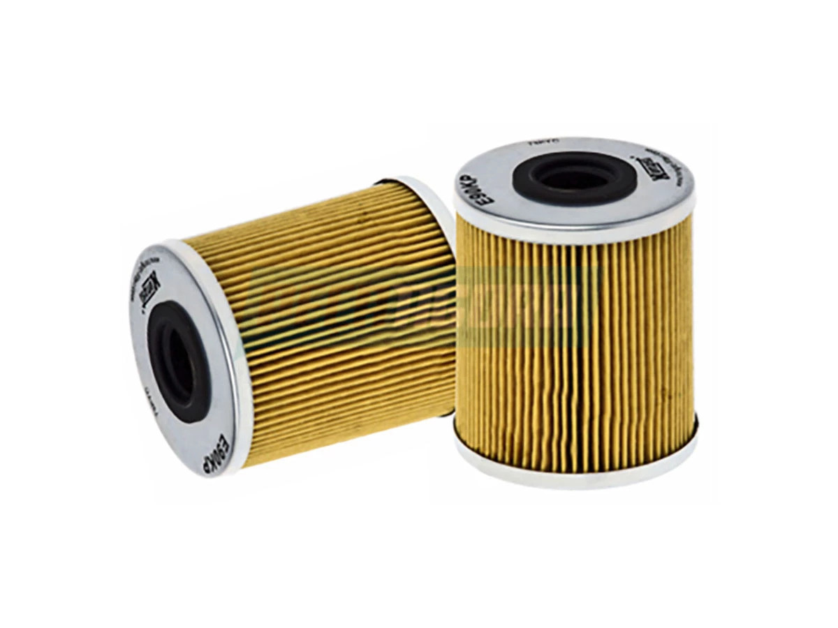 ELEMENTO FILTRO COMBUSTIVEL (7701208613.)