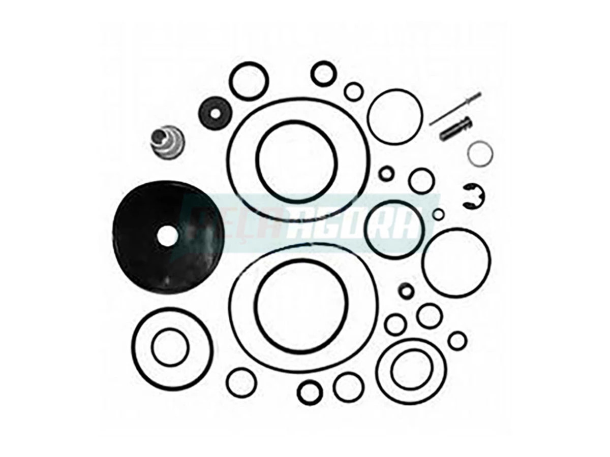 REPARO VALVULA 4 VIAS COM RETENCAO (0024306581E)