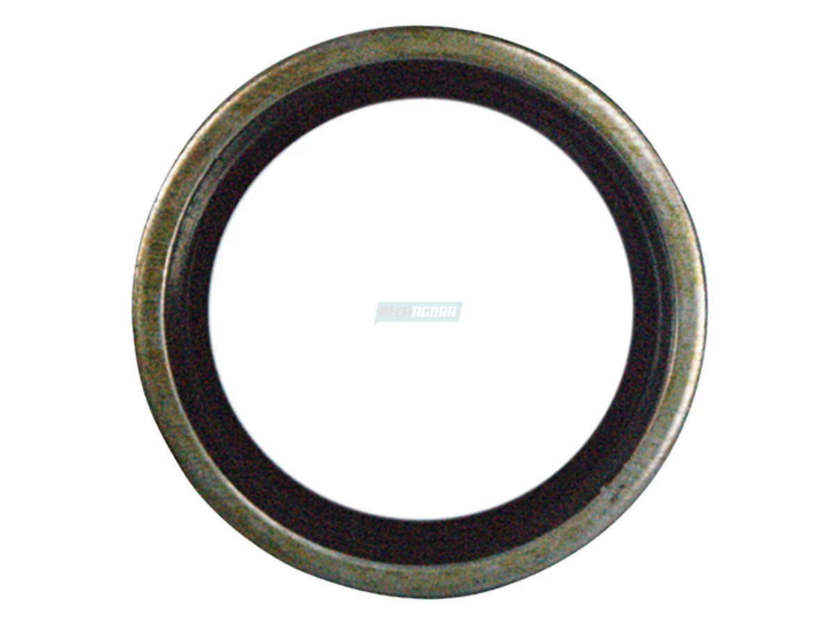 ARRUELA DE VEDACAO 0069905240 (0069905240)