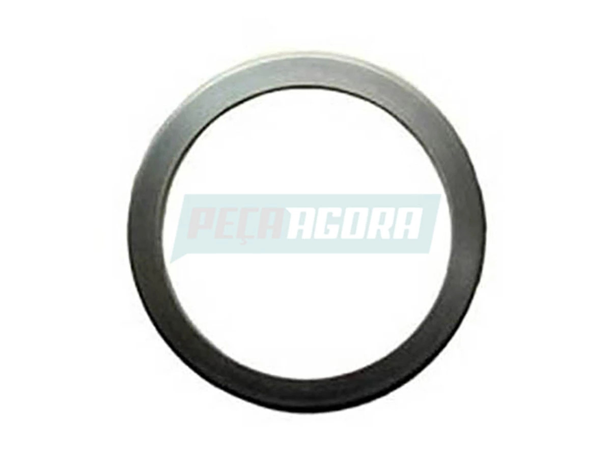 ANEL SEGURANCA EIXO PILOTO 0079945841 (0079945841)