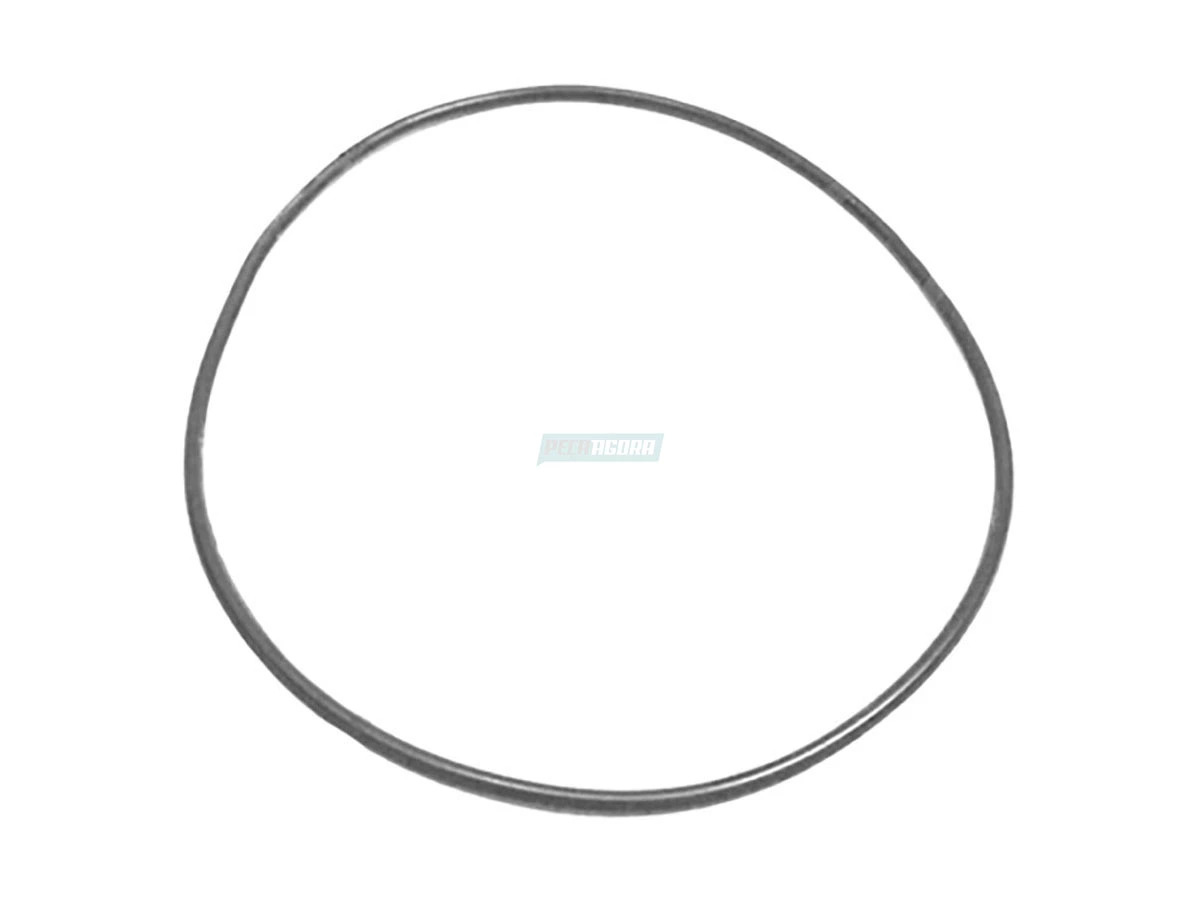 ANEL ORING TAMPA CILINDRO SELETOR CAMBIO FORD CAMINHÕES 1723 1719 2429 2016 DIA