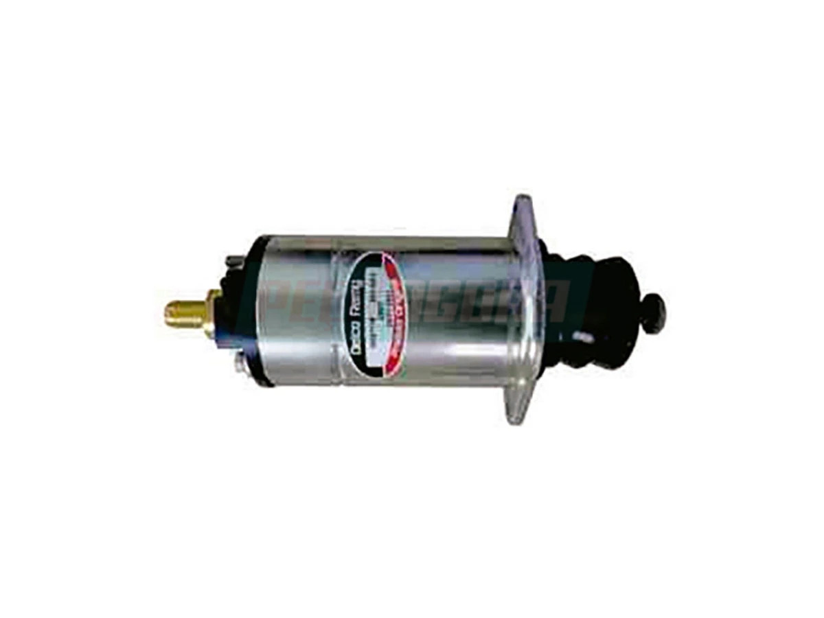 RELE PRINCIPAL 28MT 24V (10457116)